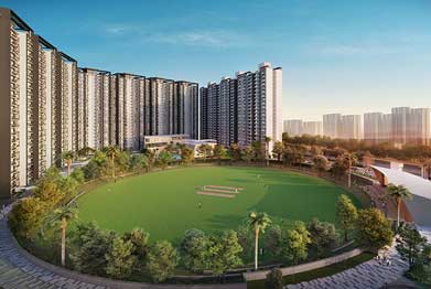 Cricket Field